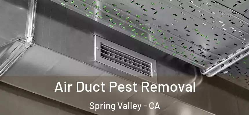  Air Duct Pest Removal Spring Valley - CA