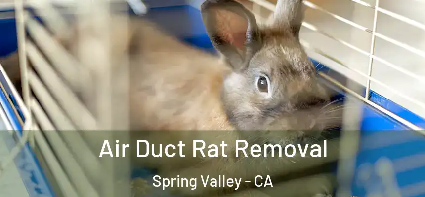  Air Duct Rat Removal Spring Valley - CA