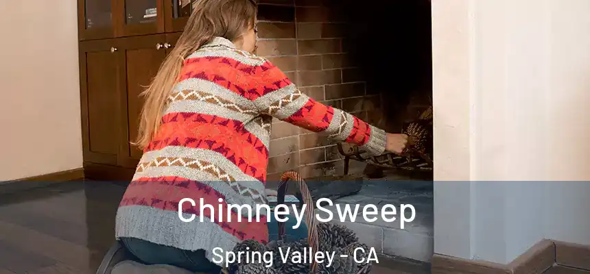  Chimney Sweep Spring Valley - CA