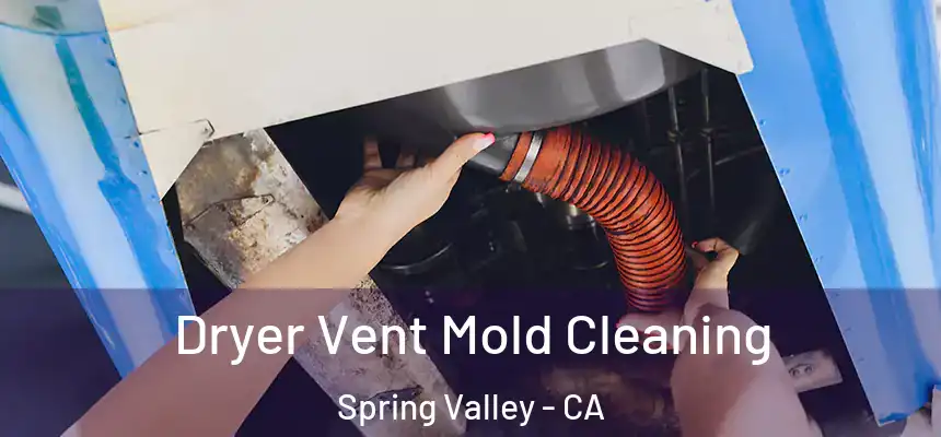 Dryer Vent Mold Cleaning Spring Valley - CA