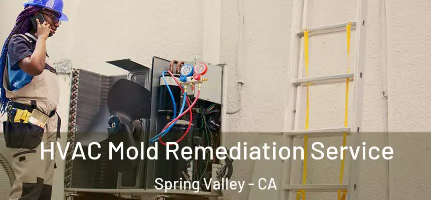 HVAC Mold Remediation Service Spring Valley - CA
