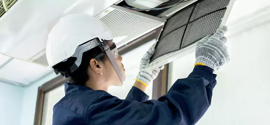 Our Mold & Mildew Removal from Air Ducts Services in Spring Valley, CA