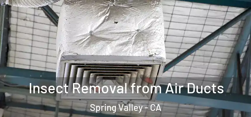 Insect Removal from Air Ducts Spring Valley - CA