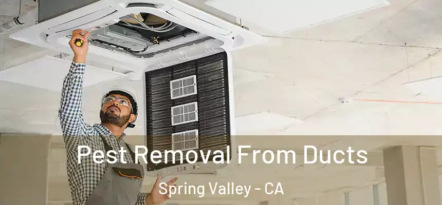 Pest Removal From Ducts Spring Valley - CA