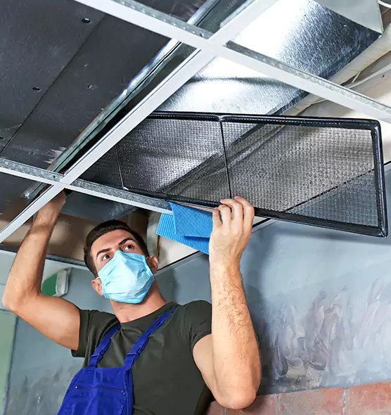 About Air Duct Bacteria Removal in Spring Valley