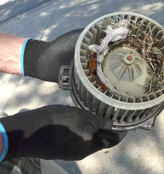 About Air Duct Rat Removal in Spring Valley, CA