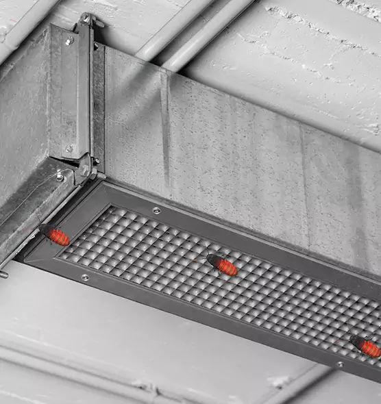 Affordable Insect Removal from Air Ducts in Spring Valley, CA
