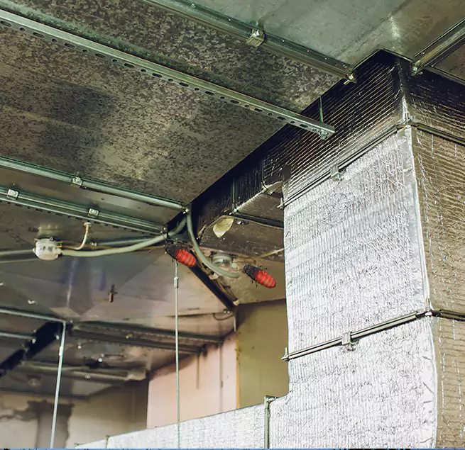 Why Homeowners & Businesses Trust Us in Spring Valley, CA?