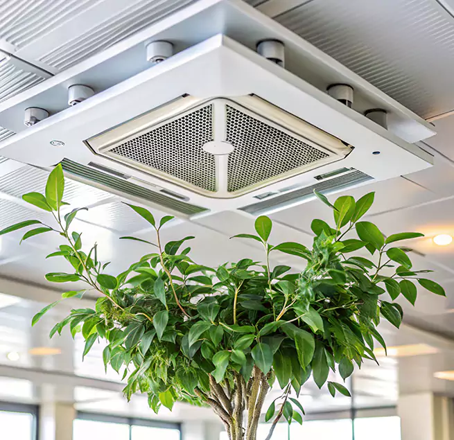 Why Homeowners & Businesses Trust Us in Spring Valley, CA?